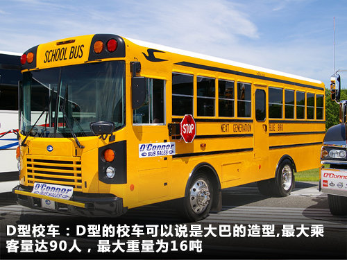 D型校車