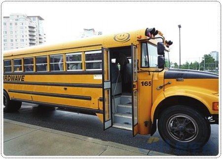 盤點各國校車五宗最(圖)