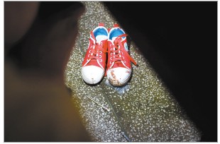 學生沒校車行路難 晉江公路車禍致兩女生身亡