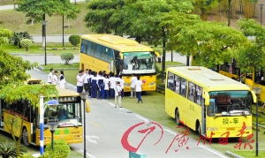 校車必須買承運人責任險 保費50元不得轉嫁學生 校車必須買承運人責任險 保費50元不得轉嫁學生