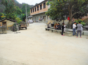 事故發(fā)生在大樹旁邊的下車點(diǎn)，這里離平平的家只有二三十米。