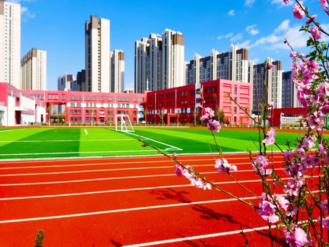 【新區一校·安全】校車安全“零容忍”,護航學子平安路 圖片