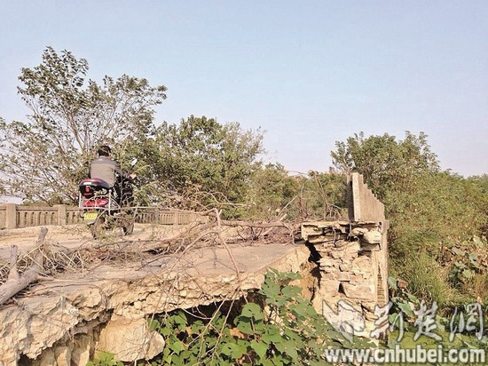 黃陂石拱橋垮損嚴重變危橋 校車難行無法進村 楚天都市報訊 本報記者張皓