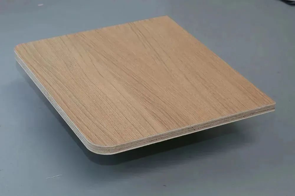 校車環(huán)保避坑指南,帶你漲知識啦! 圖片