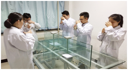 校車環(huán)保避坑指南,帶你漲知識啦! 房車環(huán)保避坑指南,帶你漲知識啦!