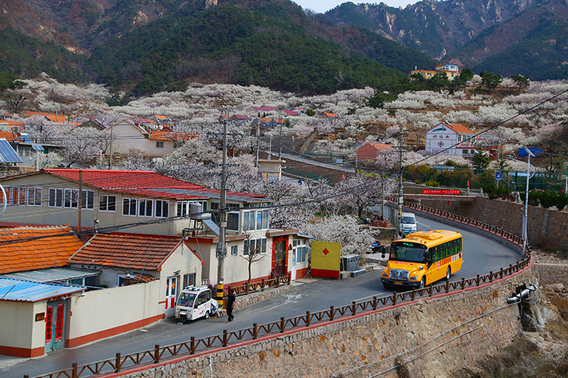 溫馨校車(chē):非凡十年書(shū)寫(xiě)滿意答卷 溫馨校車(chē):非凡十年書(shū)寫(xiě)滿意答卷
