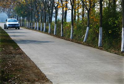 改善校車行駛路況,江蘇高郵實施農村公路提檔升級工程 改善校車行駛路況,江蘇高郵實施農村公路提檔升級工程