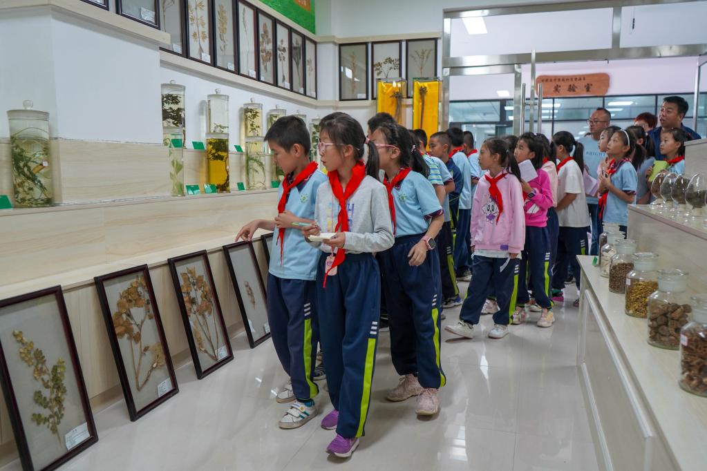 “雙減”后,一輛校車的“田野”之旅 “雙減”后,一輛校車的“田野”之旅