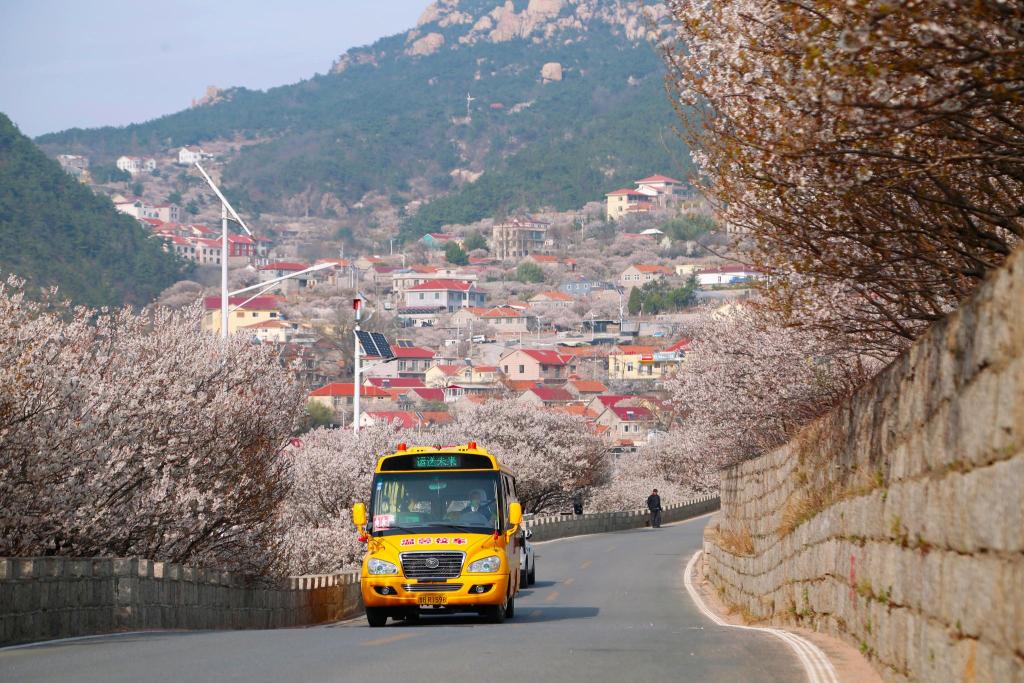 “大鼻子”校車開進(jìn)嶗山9年了,護(hù)航山區(qū)孩子上學(xué)路 “大鼻子”校車開進(jìn)嶗山9年了,護(hù)航山區(qū)孩子上學(xué)路