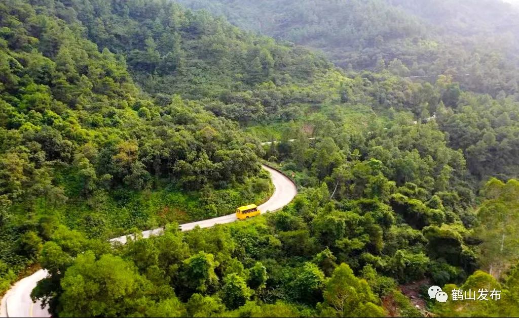 滴!滴!滴!古勞茶山村校車專線開通! 滴!滴!滴!古勞茶山村校車專線開通!