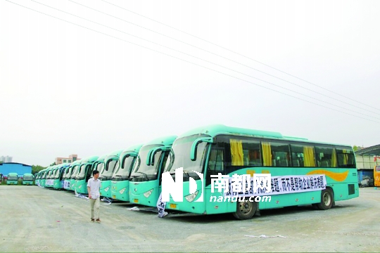 不符校車安全指標 三水36臺客運車未獲改裝批準