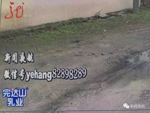 黑龍江一小學(xué)生放學(xué)回家 下車后被送他的校車碾軋致死 小學(xué)生放學(xué)回家 下車后被送他的校車碾軋致死