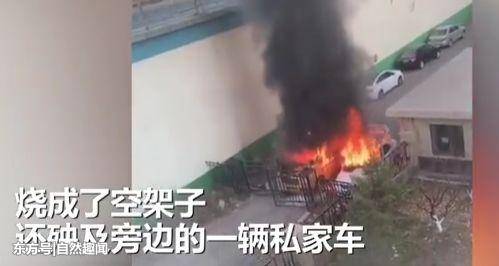 司機怕天太冷打不著火 竟在車上用明火取暖瞬間被燒成空架