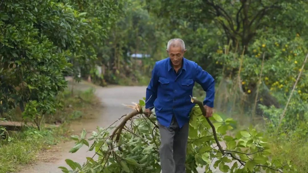 四川廣安引進46輛校車“解決農村幼兒入園乘車難”問題 四川廣安引進46輛校車“解決農村幼兒入園乘車難”問題
