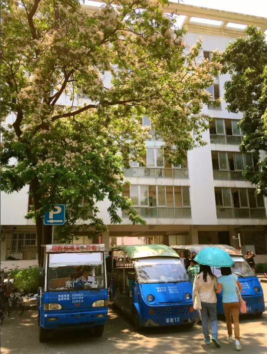 帶你揭開西大校車的神秘面紗