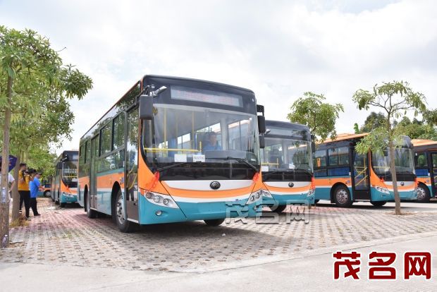廣東茂名電白區即將開通水東城區學校21條專線校車/ 廣東茂名電白區即將開通水東城區學校21條專線校車