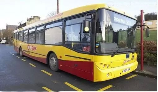 各國校車大PK   孩子安全是民族的未來