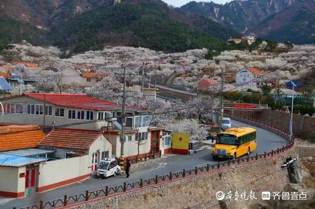 溫馨校車亮十年成績單：累計發送1210萬車次、2.7億人次