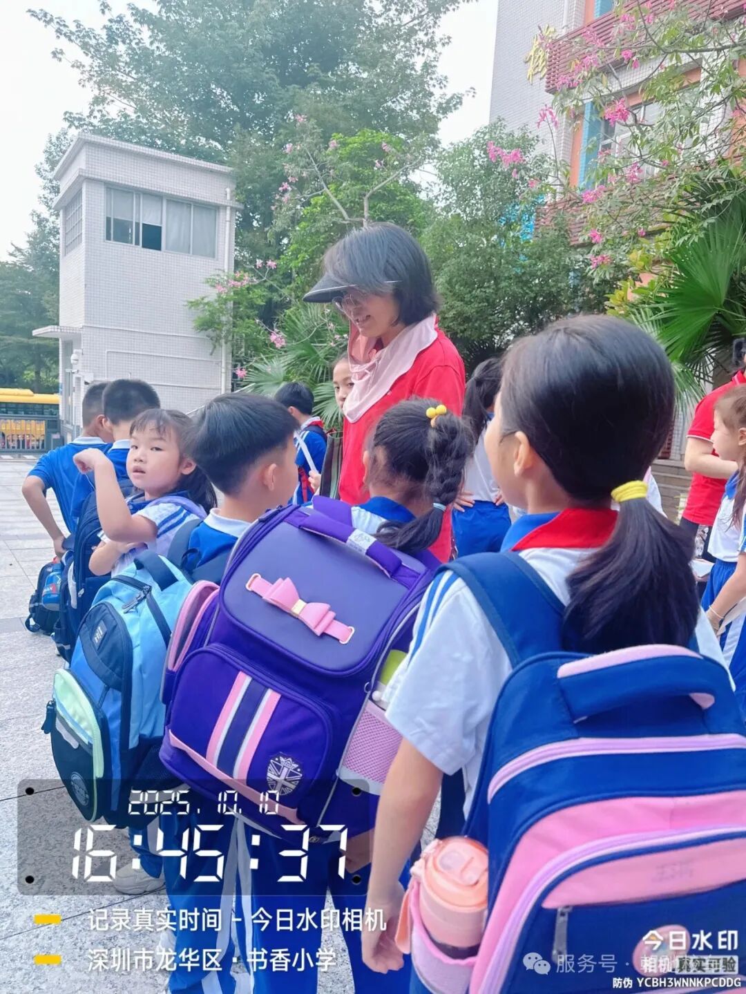 校車安全-駕駛員篇